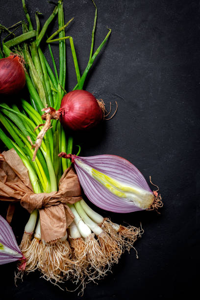 istock Fresh red and white onions on dark background 1221339930