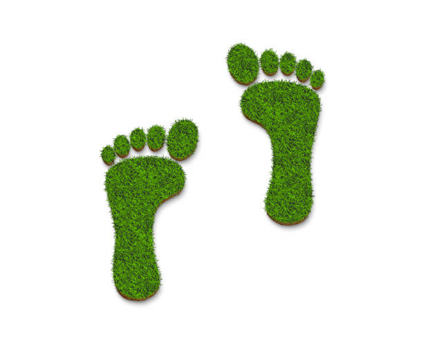 istock footprint icon logo from green grass texture isolated on white background 1221341959