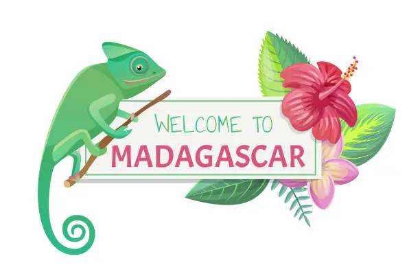 Vector illustration of Welcome to Madagascar Title Vector Illustration