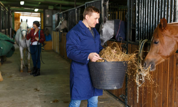 istock Farm worker feeding horse with hay 1221347504