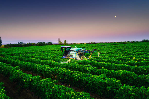 istock Tractor spraying vines over vineyard in Europe 1221347751