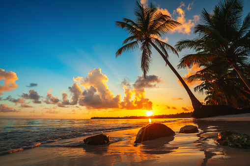 Landscape of paradise tropical island beach, sunrise shot