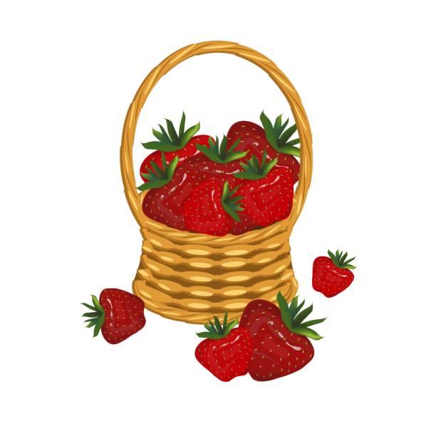 ilustraciones, imágenes clip art, dibujos animados e iconos de stock de strowberry en cestería mimbre con una vid. elementos de diseño de arte de bayas rojas objeto ilustración vectorial de stock aislado - strawberry vine