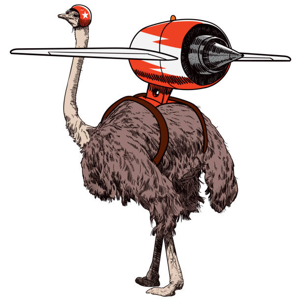 Ostrich Racing Engine Vector 5,700+ Ostrich Stock Illustrations, Royalty-Free Vector Graphics & Clip ...