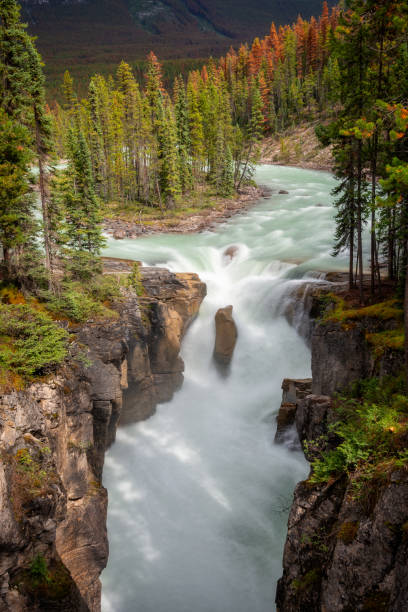 istock Sunwapta falls in Jasper National Park, Rocky Mountains, Alberta, Canada 1221358716
