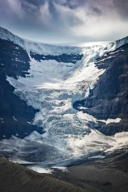 View of Snowdome glacier in Columbia Icefield, Jasper National park,  Rocky Mountains, Alberta, Canada