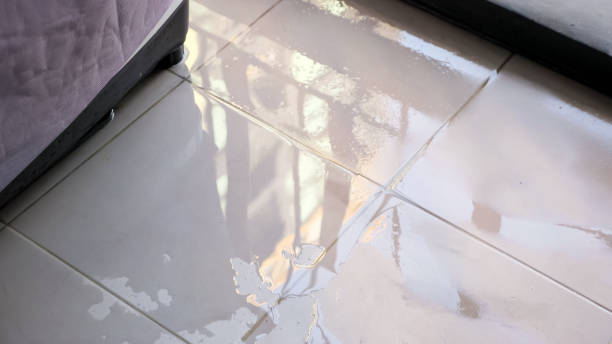 trembling water puddle covers white tile in house closeup - burst pipe imagens e fotografias de stock