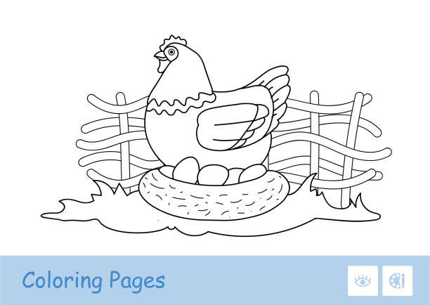 brut huhn sitzt auf eiern in nestle auf dem land bauernhof vogel hof kontur kinder malbuch illustration. - nestle stock-grafiken, -clipart, -cartoons und -symbole
