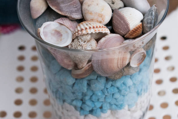 istock Sea stones and shells in the vase 1221360745