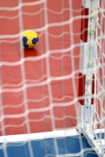 Handball Goal! stock photo