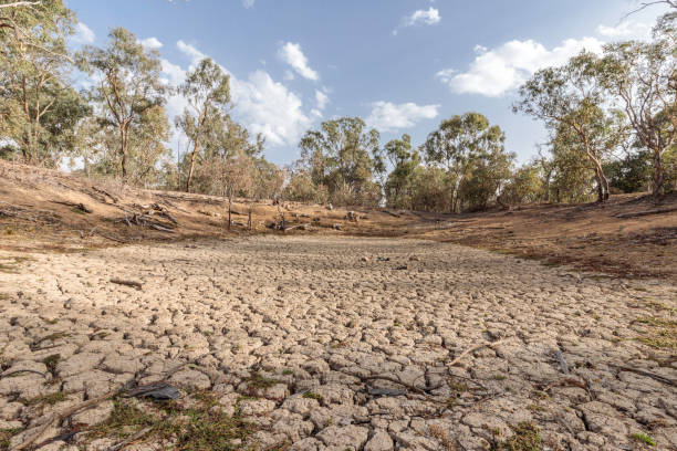 istock A dried dam at a waterless Callum Brae 1221362654