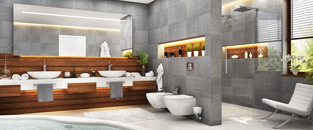 Beautiful gray bathroom with large bath and modern shower