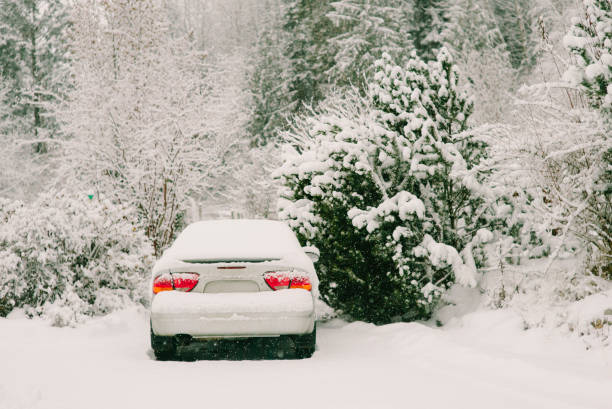 Image of Blue car covered in snow after storm surrounded by trees and a cabin