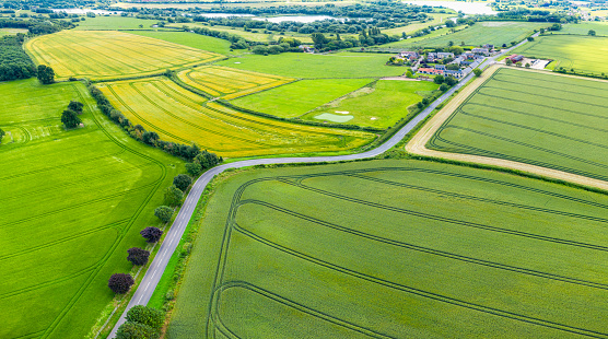 An aerial view of arable fields in summer, with a road leading through a small village.