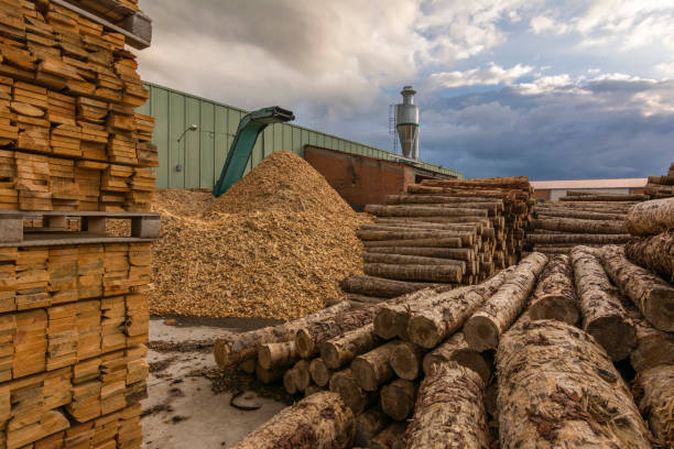istock Sawmill for the treatment and processing of pine wood 1221364913