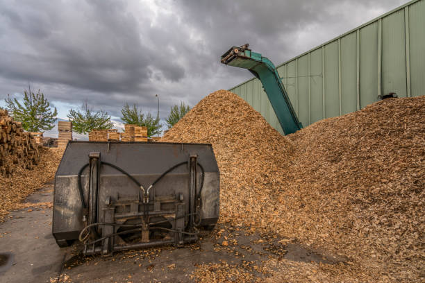 istock Sawmill for the treatment and processing of pine wood 1221364953