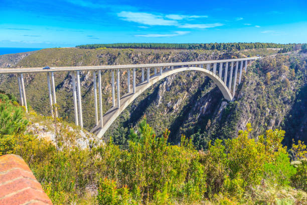 istock View of the Bloukrans Bridge in South Africa 1221368664