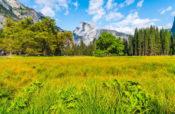 Photo of half dome on sunny day,yosemite national park,california,usa.