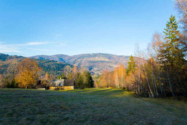Beautiful panorama taken in polish mountains Beskidy on the way to Skrzyczne from Bialy Krzyz and Malinowska Skala during sunny weather. Landscape captured during trekking.