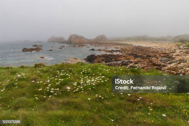 Plougrescant Pink Granite Coast Bretagne Park And Mountains Coast Of Armor Stock Photo - Download Image Now