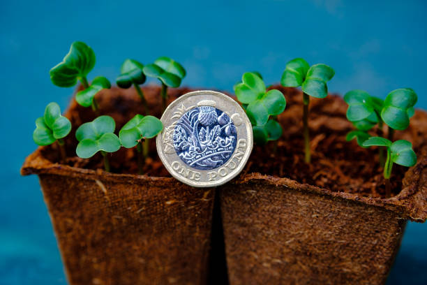 One British pound coin placed in a new growing plants in pots.