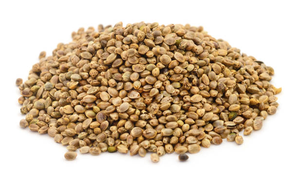 istock Heap of hemp seeds. 1221372616