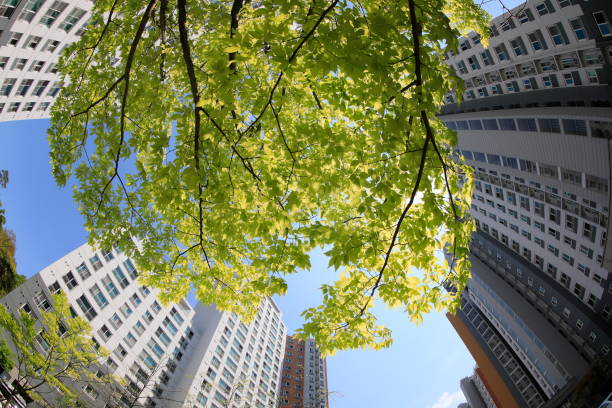 istock view of an apartment 1221373332