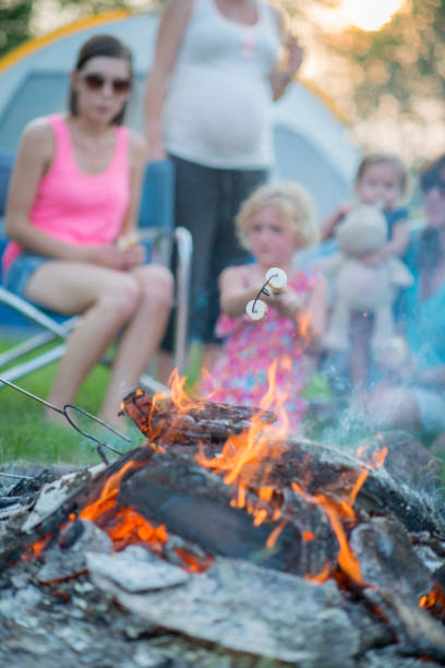 istock Family camping 1221373450