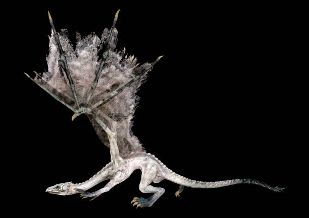 istock 3D illustration fantasy dragon on black 1221373531