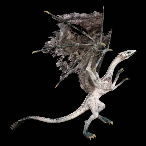 istock 3D illustration fantasy dragon on black 1221373551