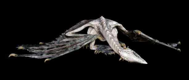 istock 3D illustration fantasy dragon on black 1221373557