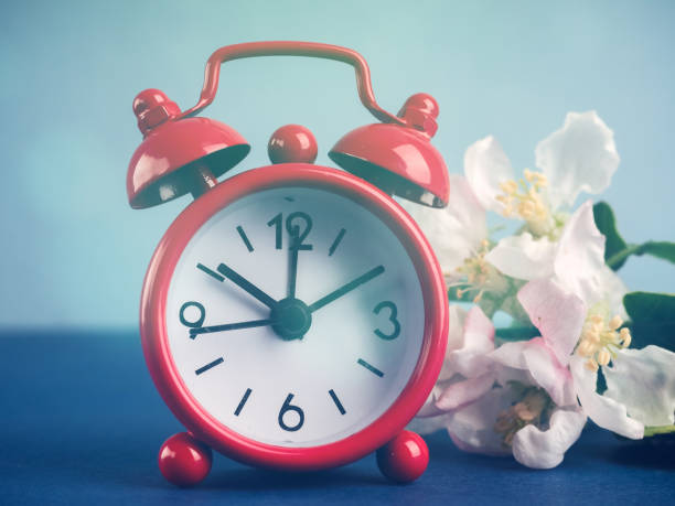 istock Alarm clock and beautiful spring flowers on blue table, space for text. Time change concept 1221375949