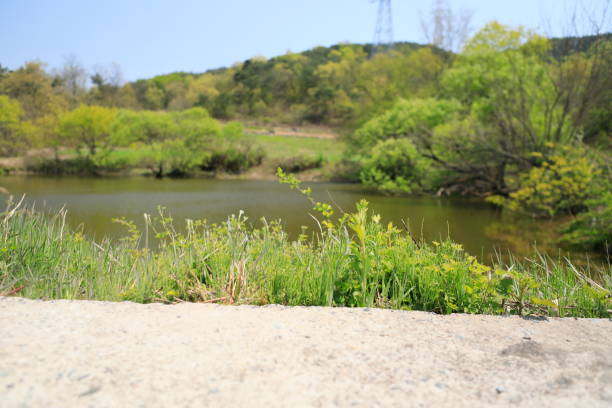 a beautiful view of the lake