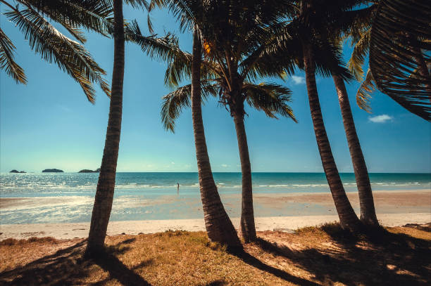 istock Sunny beach under palm trees and ocean waves brights on tropical sun. Happy vacation destination 1221377774