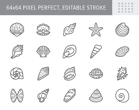 Seashell, oyster, scallop line icons. Vector illustration included icon as nautilus, spiral shell, starfish outline pictogram for beach mollusk infographic. 64x64 Pixel Perfect Editable Stroke.