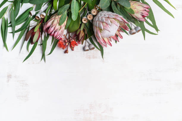 istock Flower flat lay arrangement of proteas and eucalyptus leaves. 1221381925
