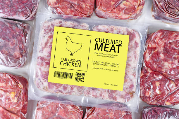 라벨냉동 포장 원시 고기와 인공 체외 세포 배양 고기 생산을위한 배양 닭 고기 개념 - heathy food 뉴스 사진 이미지