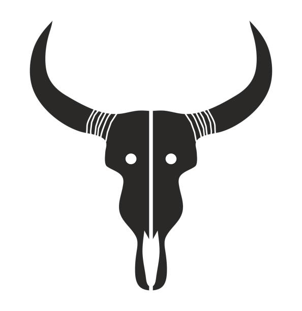 illustrazioni stock, clip art, cartoni animati e icone di tendenza di teschio di toro - horned death dead texas longhorn cattle