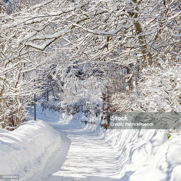 Winterwunderland Stockfoto und mehr Bilder von Alpen - Alpen, Ast - Pflanzenbestandteil, Baum