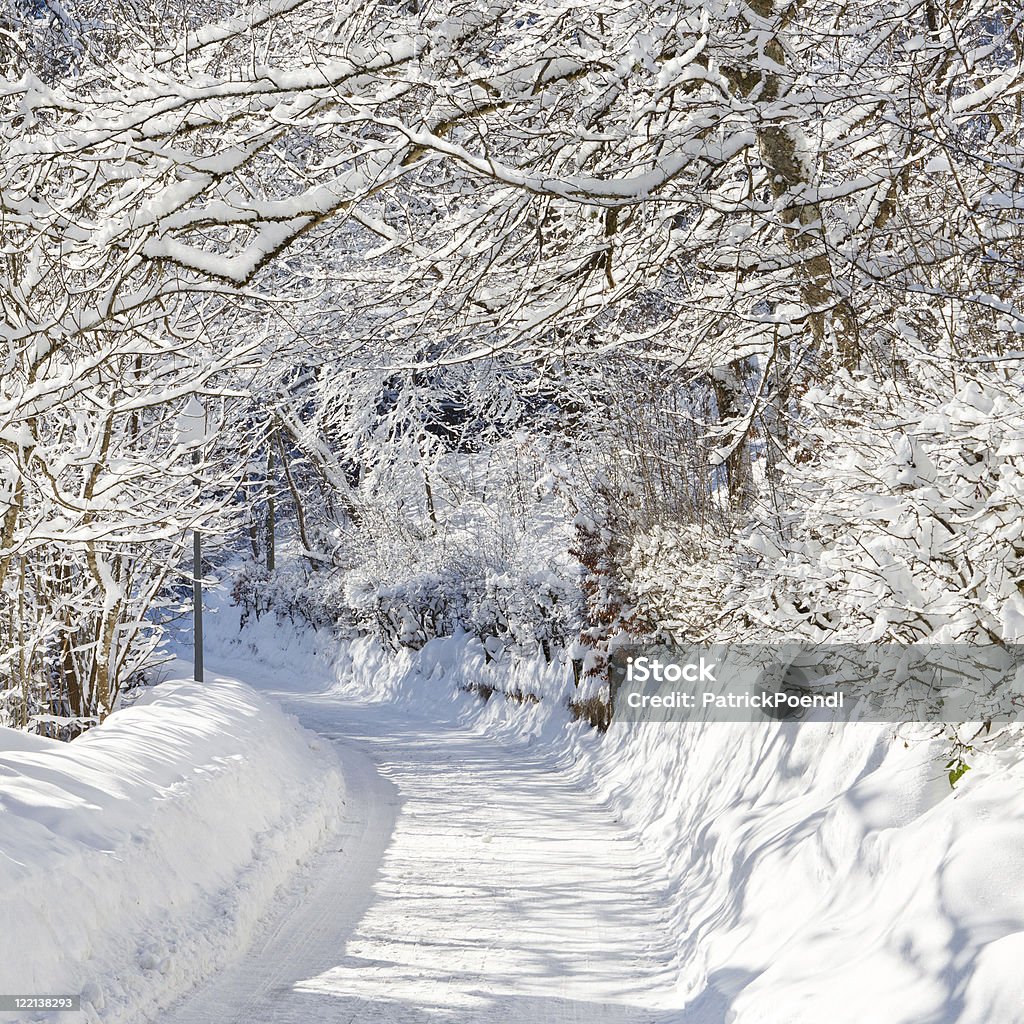 Winter Wonderland - Foto de stock de Alemanha royalty-free