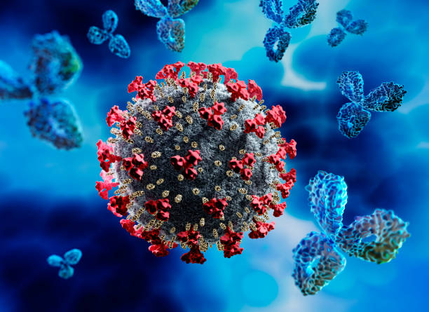 istock Corona Virus COVID-19 with Antibodies 1221385419