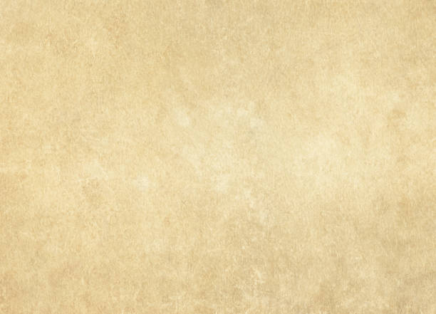 sfondo di carta marrone - textured effect scratched textured parchment foto e immagini stock