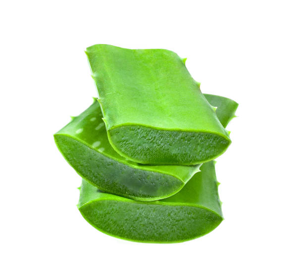 istock Aloe vera isolated on white background 1221388084