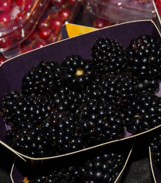 istock Local produce for sale, blackberries 1221389388