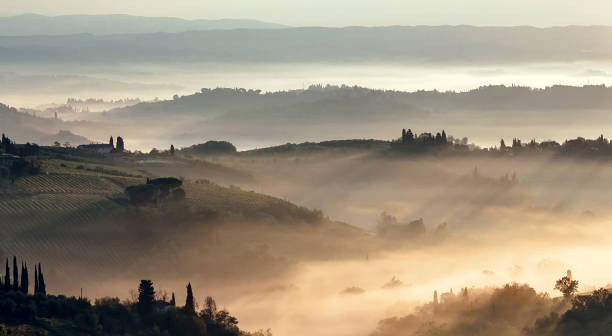 paesaggio panoramico della valle mattutina con uliveti e vigneti. scena paesaggistica nebbiosa, con giardini, fattorie, campi - tuscany italy sunrise rural scene foto e immagini stock