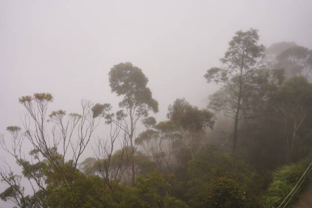 istock Blue mountains by foggy 1221391147