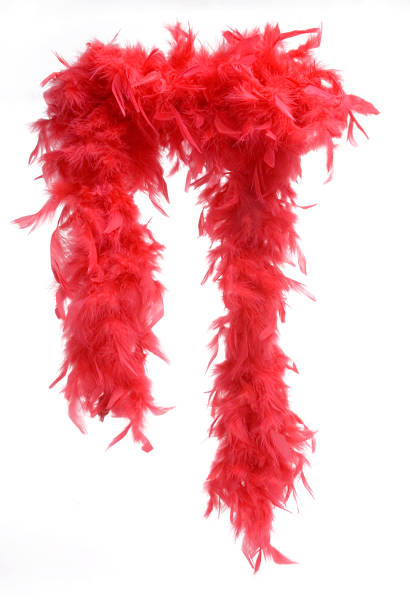 4,800+ Feather Boa Stock Photos, Pictures & Royalty-Free Images - iStock