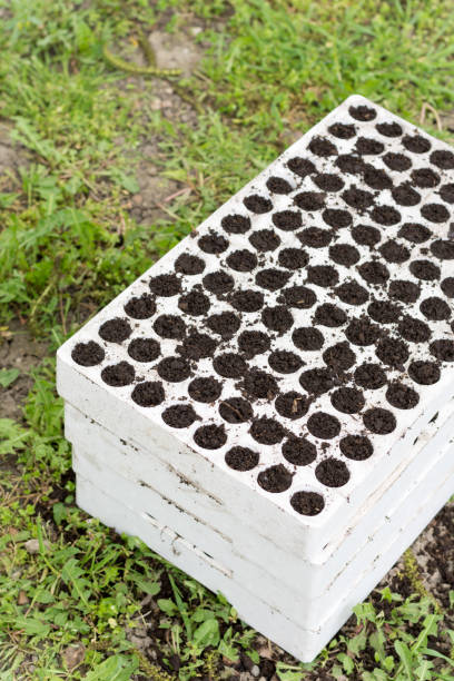 Nursery Styrofoam to the emerged plants.