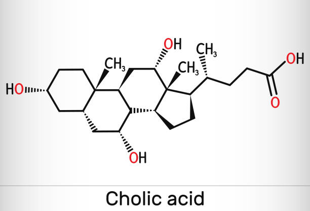 illustrazioni stock, clip art, cartoni animati e icone di tendenza di acido colico, molecola c24h40o5. è il principale acido biliare primario prodotto nel fegato. integratore alimentare e 1000.  formula chimica strutturale. - h major