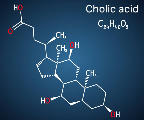 illustrazioni stock, clip art, cartoni animati e icone di tendenza di acido colico, molecola c24h40o5. è il principale acido biliare primario prodotto nel fegato. integratore alimentare e 1000.  formula chimica strutturale sullo sfondo blu scuro - h major